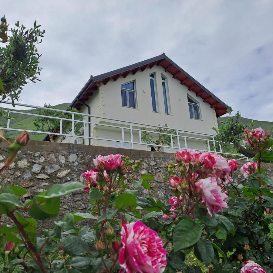 Xhuli Guesthouse Shkoder Luaran gambar