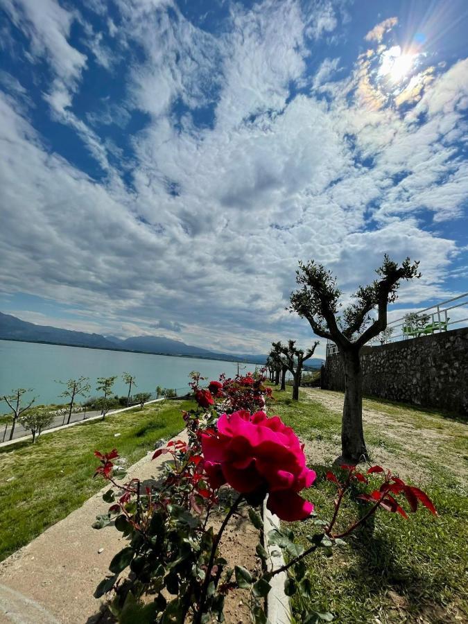Xhuli Guesthouse Shkoder Luaran gambar