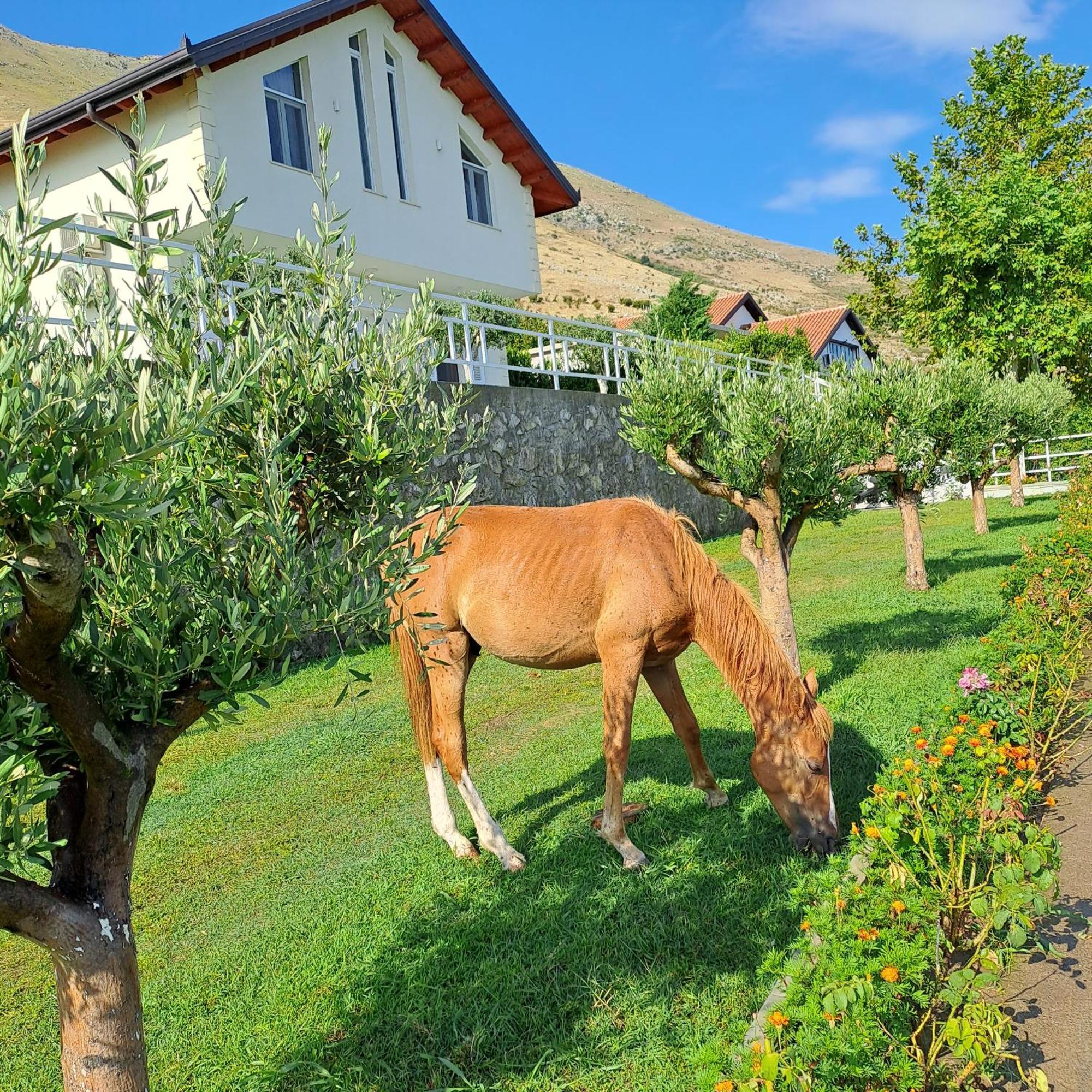 Xhuli Guesthouse Shkoder Luaran gambar